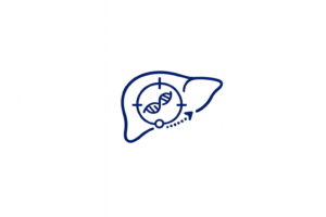 Liver-targeted RNAi icon representing GalNAc-siRNA delivery to hepatocytes.