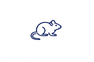 Mouse model icon representing in vivo preclinical hemophilia and joint bleeding studies.